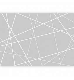 Fotobehang - Modern Cobweb