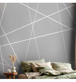 Carta da parati - Modern Cobweb