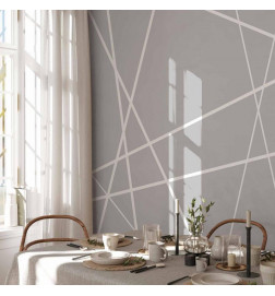 Papier peint - Modern Cobweb