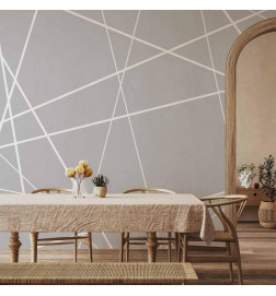 Fototapeta - Modern Cobweb