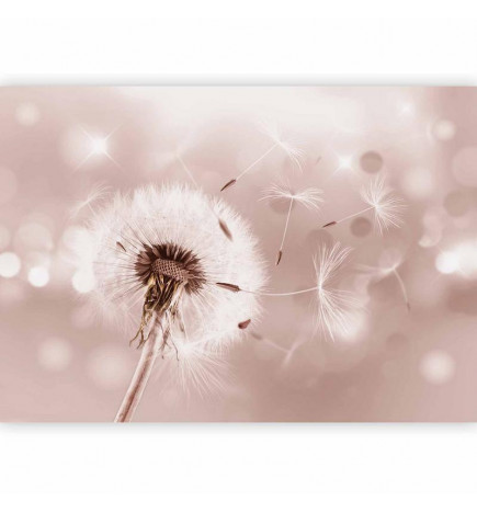 Foto tapete - Summer Odyssey