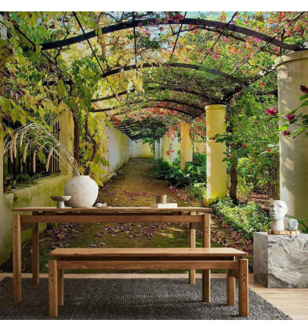 Carta da parati - Pergola