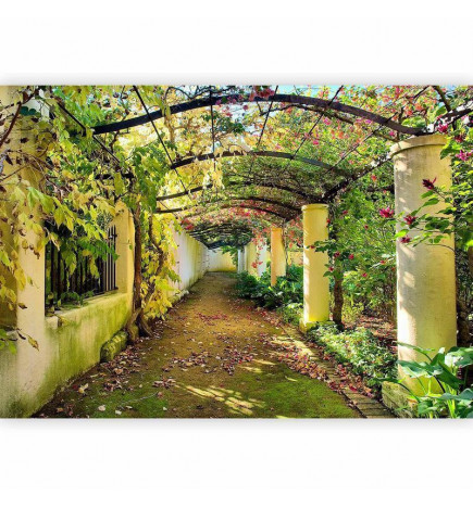 Fototapeta - Pergola