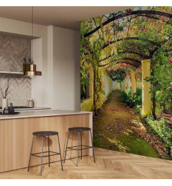 Papier peint - Pergola