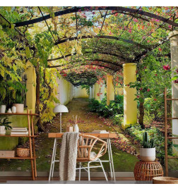 Fototapetti - Pergola
