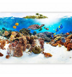 Mural de parede - Cay