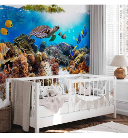 Mural de parede - Cay