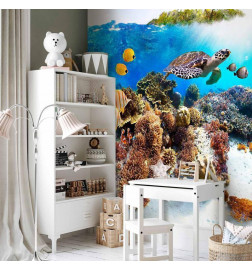 Wall Mural - Cay