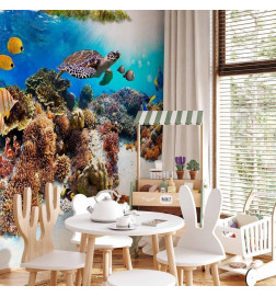 Mural de parede - Cay