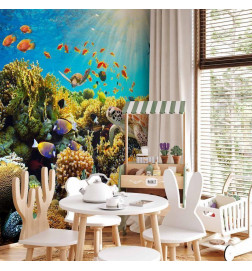 Wall Mural - Underwater Land