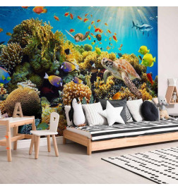 Fototapeet - Underwater Land