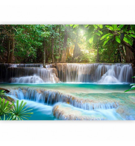 Fototapeta - Awakening of nature