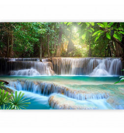 Fototapeet - Awakening of nature