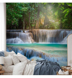 Fotobehang - Awakening of nature