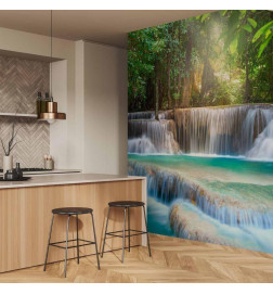 Wall Mural - Awakening of nature
