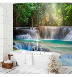 Wall Mural - Awakening of nature