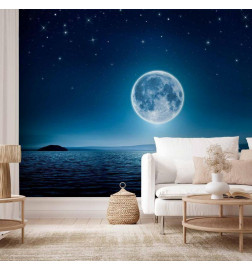 Fototapet - Moonlit night
