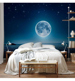 Wall Mural - Moonlit night
