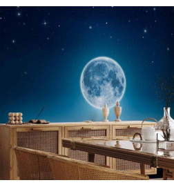 Wall Mural - Moonlit night