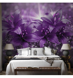 Fototapeta - Masterpiece of Purple