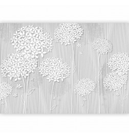 Fotomural - Delicate Shade