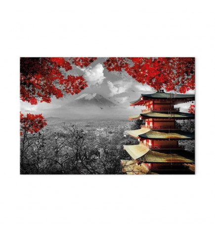 Quadro - Adventure (1 Part) Wide