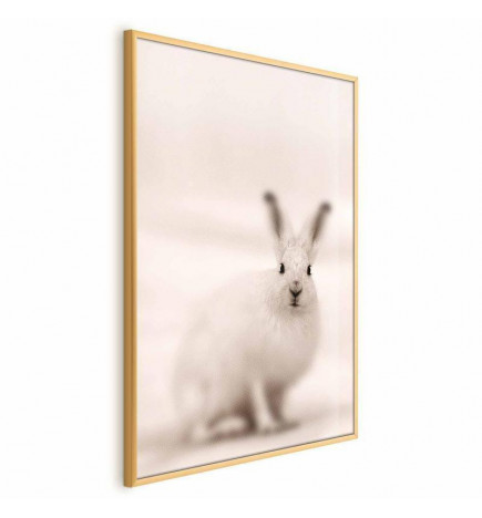 Plakat - Fearful Look