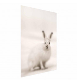 Plakatas - Fearful Look