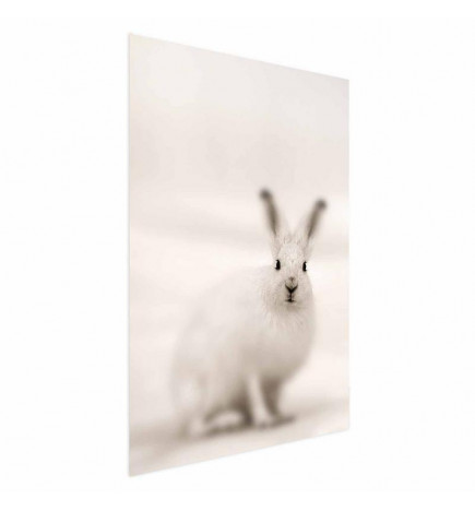 Juliste - Fearful Look