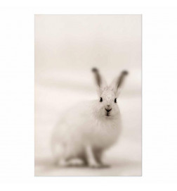 Juliste - Fearful Look