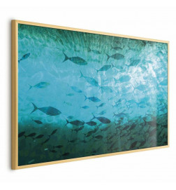 Plakatas - Group of Dark Fish