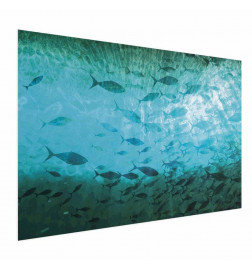 Plakat - Group of Dark Fish