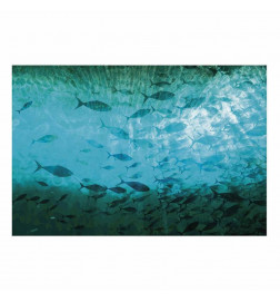 Juliste - Group of Dark Fish