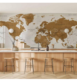 Wall Mural - World Map: White Oceans