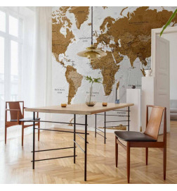 Papier peint - World Map: White Oceans