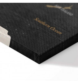 Taulu - World Map: Secrets of the Earth