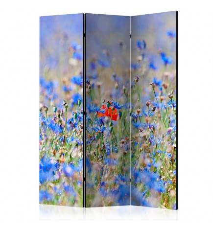 3-teiliges Paravent - A sky-colored meadow - cornflowers [Room Dividers]