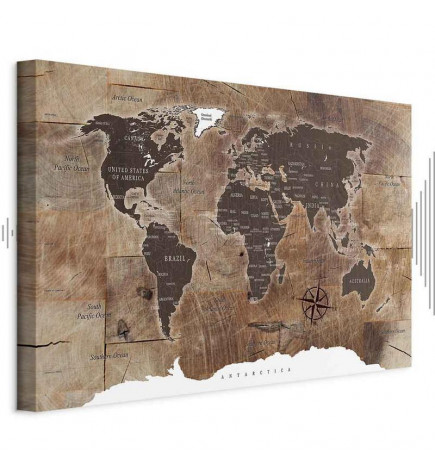 Cuadro - World Map: Wooden Mosaic
