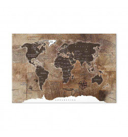 Schilderij - World Map: Wooden Mosaic