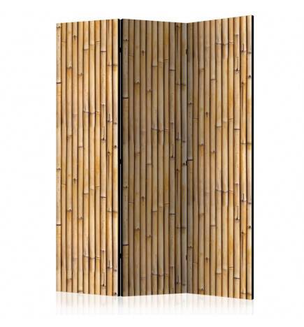 Paravent 3 volets - Amazonian Wall [Room Dividers]