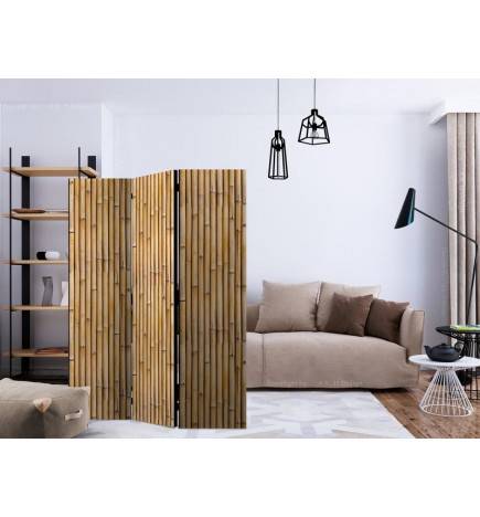 3-teiliges Paravent - Amazonian Wall [Room Dividers]