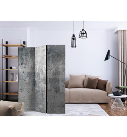 Paravento - Fresh Concrete