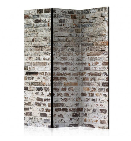 Room Divider - Old Walls