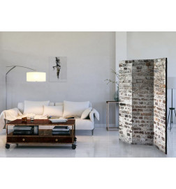 Room Divider - Old Walls