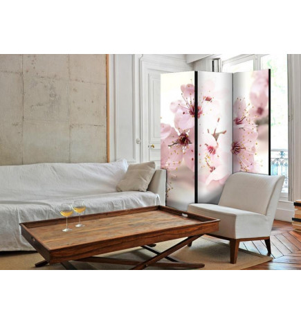 Paravento - Cherry Blossom