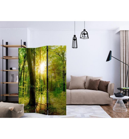 Room Divider - Forest Rays