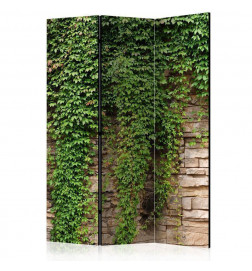 Sirm - Ivy wall