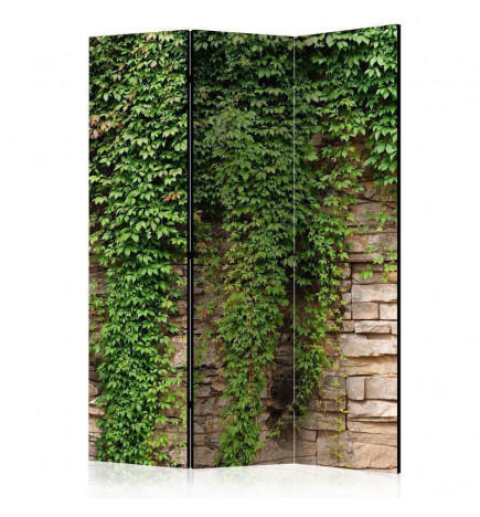 Vouwscherm - Ivy wall