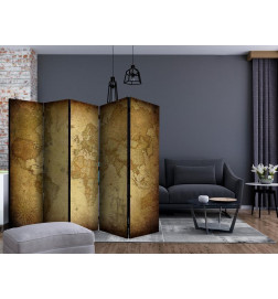 Room Divider - Old map II