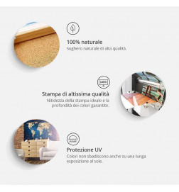 Decorative Pinboard - Geography lesson